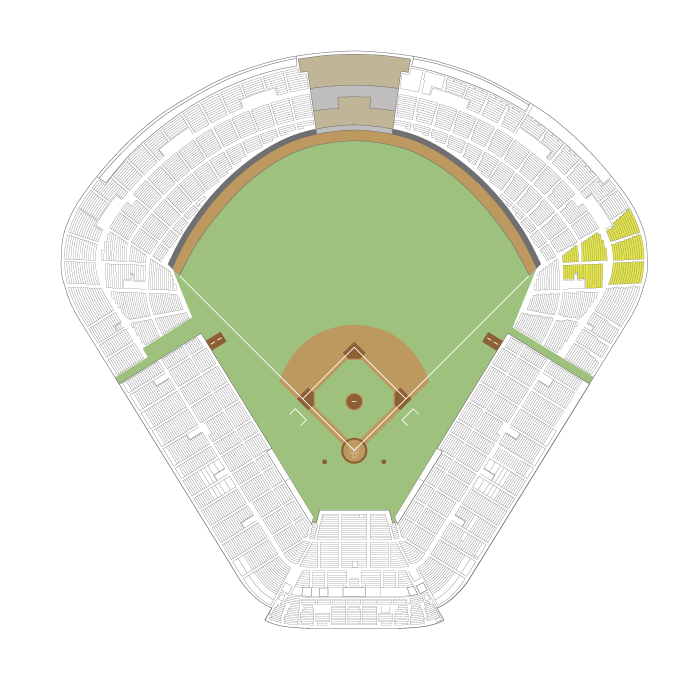 外野指定席 内野指定席 引き換え券 CREW 神宮球場 プラチナ会員 スワローズ  ヤクルト スワローズCREW会員特典 SS指定席 S指定席 S2指定席 引換券